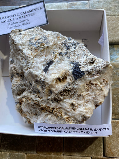 HYDROZINCITE/CALAMINE/GALENA IN BARYTE : MACHEN QUARRY, WALES 406g MF4891