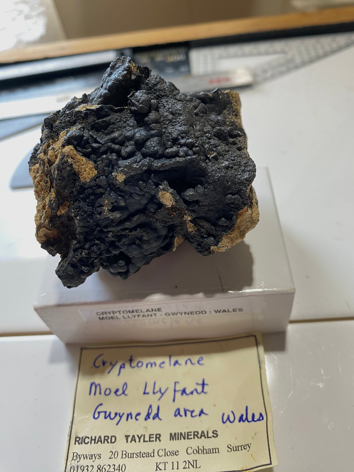 CRYPTOMELANE : MOEL LLYFANT, GWYNEDD, WALES, U.K. 180g. MF4893