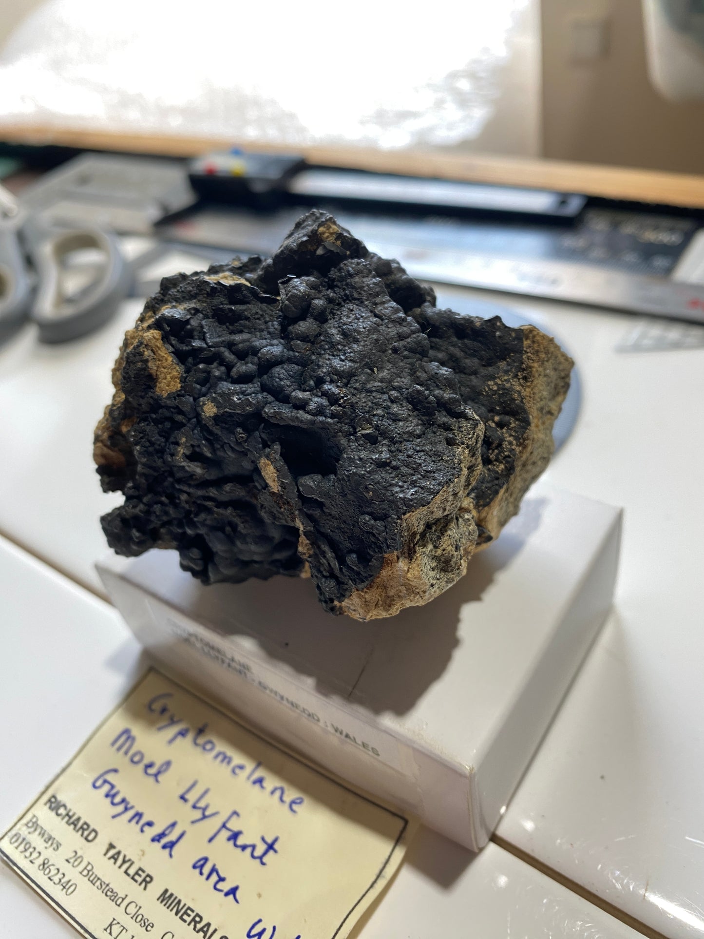 CRYPTOMELANE : MOEL LLYFANT, GWYNEDD, WALES, U.K. 180g. MF4893