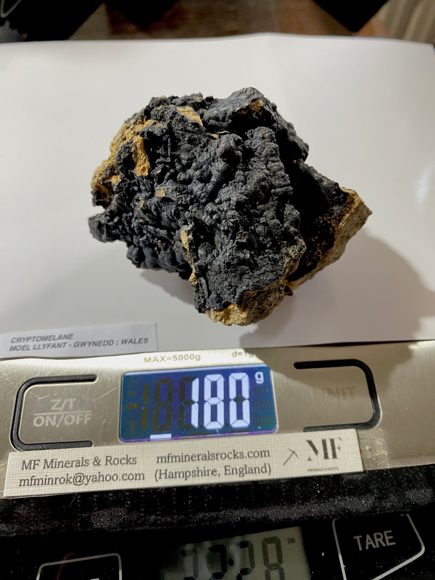 CRYPTOMELANE : MOEL LLYFANT, GWYNEDD, WALES, U.K. 180g. MF4893