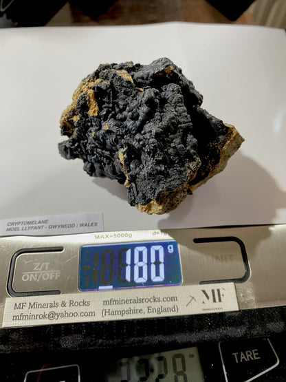 CRYPTOMELANE : MOEL LLYFANT, GWYNEDD, WALES, U.K. 180g. MF4893