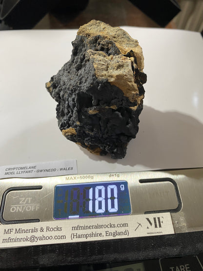 CRYPTOMELANE : MOEL LLYFANT, GWYNEDD, WALES, U.K. 180g. MF4893