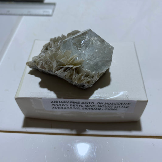 AQUAMARINE BERYL ON MUSCOVITE - PINGWU BERYL MINE, SICHUAN, CHINA 52g MF1215
