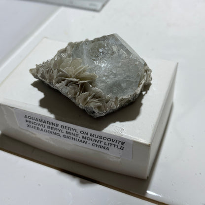 AQUAMARINE BERYL ON MUSCOVITE - PINGWU BERYL MINE, SICHUAN, CHINA 52g MF1215