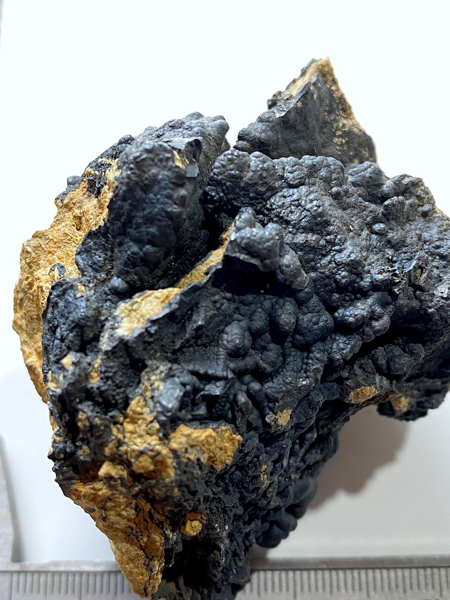 CRYPTOMELANE : MOEL LLYFANT, GWYNEDD, WALES, U.K. 180g. MF4893