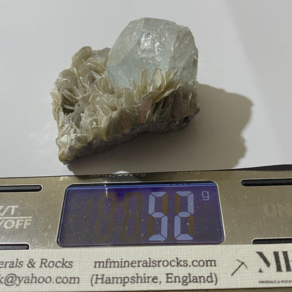 AQUAMARINE BERYL ON MUSCOVITE - PINGWU BERYL MINE, SICHUAN, CHINA 52g MF1215