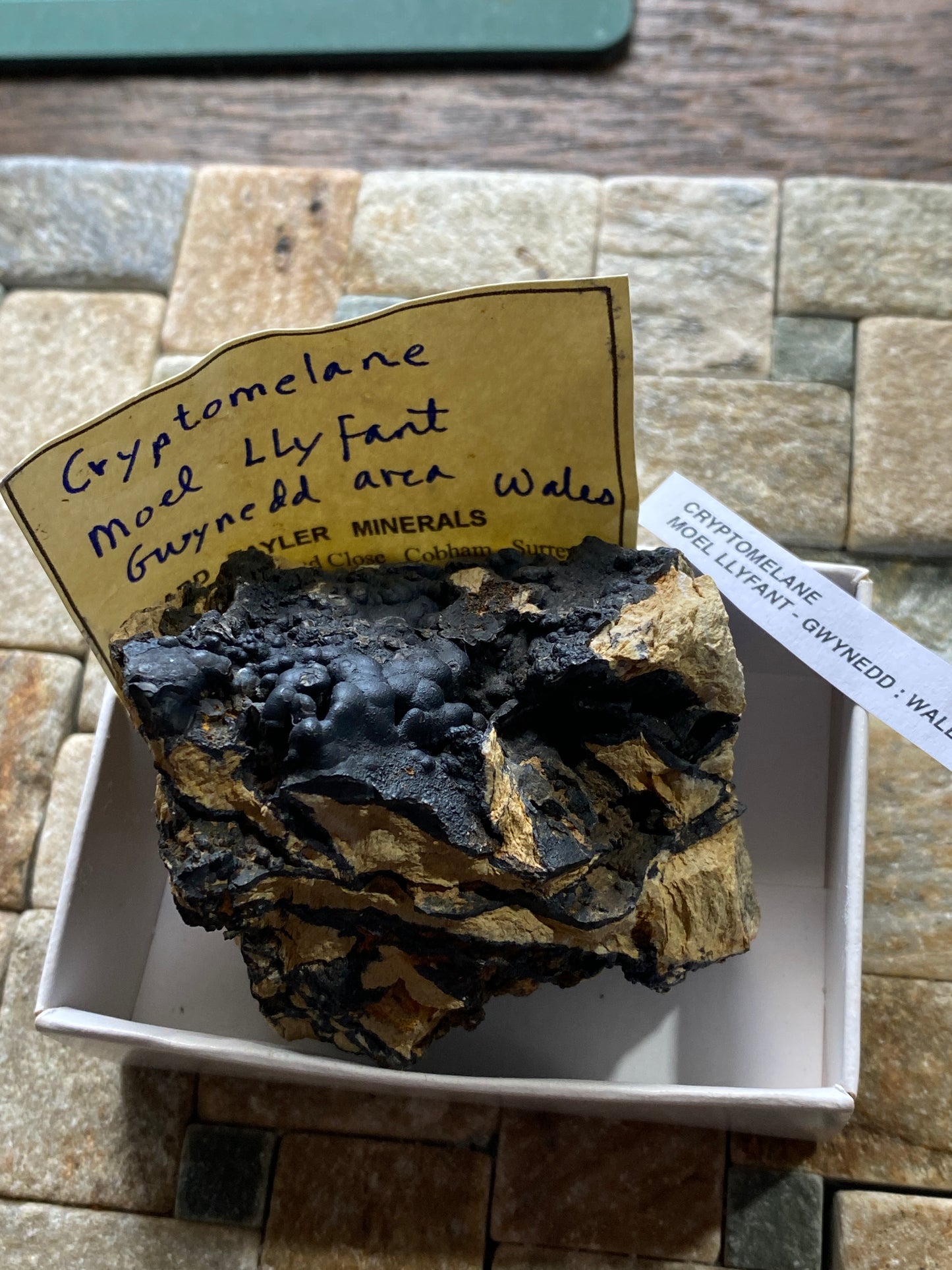 CRYPTOMELANE : MOEL LLYFANT, GWYNEDD, WALES, U.K. 180g. MF4893