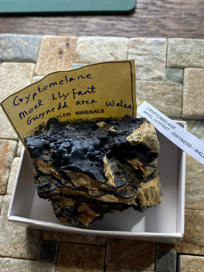 CRYPTOMELANE : MOEL LLYFANT, GWYNEDD, WALES, U.K. 180g. MF4893