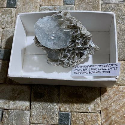 AQUAMARINE BERYL ON MUSCOVITE - PINGWU BERYL MINE, SICHUAN, CHINA 52g MF1215