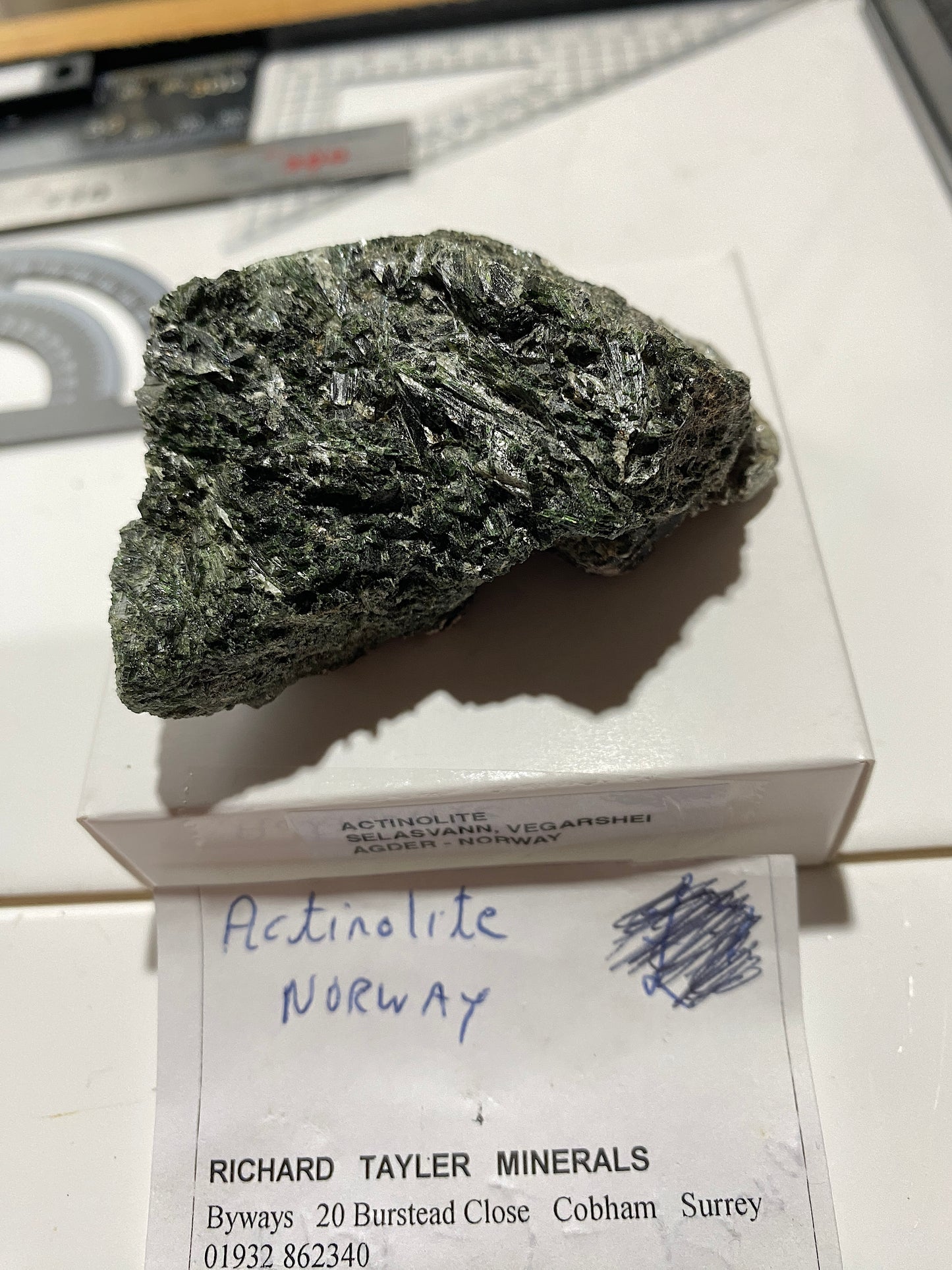 ACTINOLITE : SELASVANN, VEGARSHEI, AGDER, NORWAY. 138g. MF4895