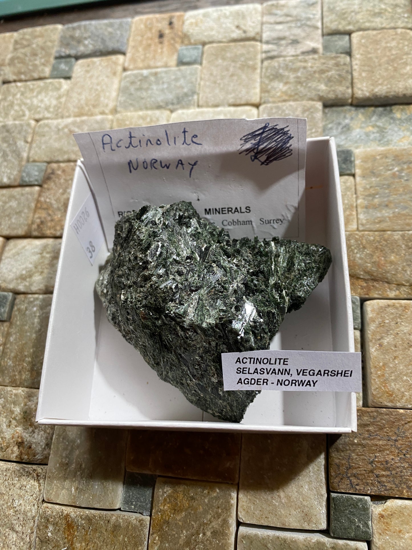 ACTINOLITE : SELASVANN, VEGARSHEI, AGDER, NORWAY. 138g. MF4895