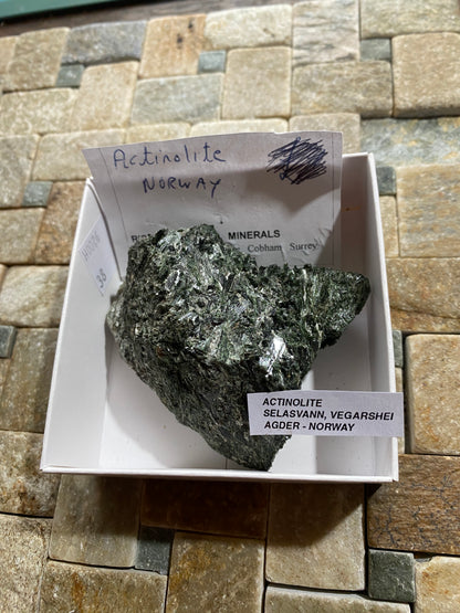 ACTINOLITE : SELASVANN, VEGARSHEI, AGDER, NORWAY. 138g. MF4895