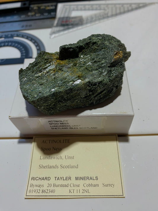 ACTINOLITE : SPOO NESS, LUNDAWICH, UNST, SHETLAND, SCOTLAND 107g MF4907