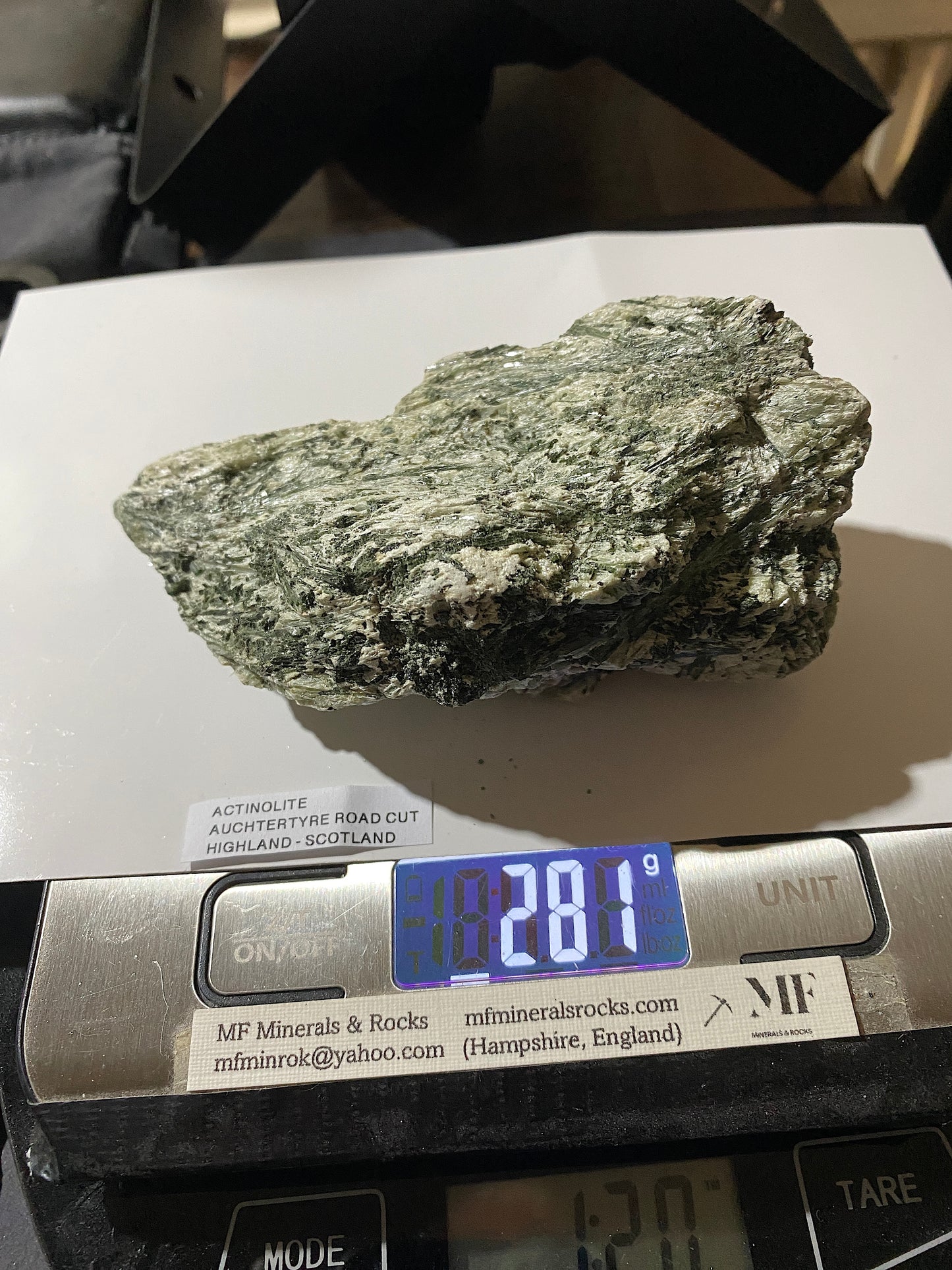 ACTINOLITE : AUCHTERTYRE ROAD CUT, KYLE OF LOCHALSH, SCOTLAND 281g MF4909