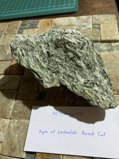 ACTINOLITE : AUCHTERTYRE ROAD CUT, KYLE OF LOCHALSH, SCOTLAND 281g MF4909