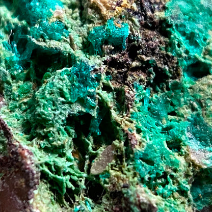 DIOPTASE ON MATRIX, ALT BOBOS MINE, OSHIKOTO, NAMIBIA 47g MF1666