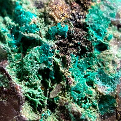 DIOPTASE ON MATRIX, ALT BOBOS MINE, OSHIKOTO, NAMIBIA 47g MF1666