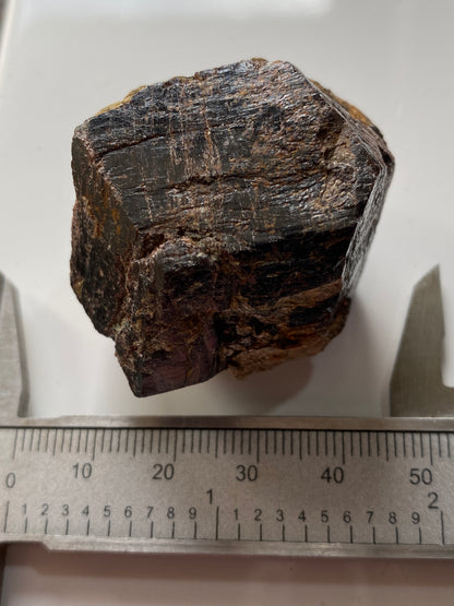 ALMANDINE GARNET LARGE CRYSTAL : ALTERMARK, MO-I-RANA, NORWAY. 93g. MF4910
