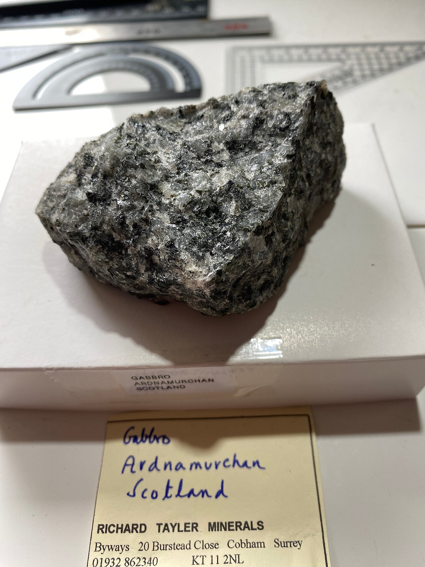 GABBRO : ARDNAMURCHAN, WEST HIGHLAND PENINISULA, SCOTLAND  244g MF4913