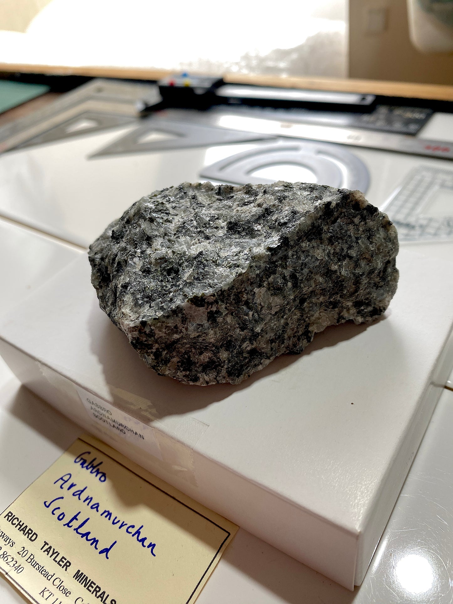 GABBRO : ARDNAMURCHAN, WEST HIGHLAND PENINISULA, SCOTLAND  244g MF4913