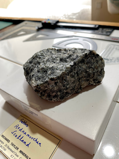 GABBRO : ARDNAMURCHAN, WEST HIGHLAND PENINISULA, SCOTLAND  244g MF4913