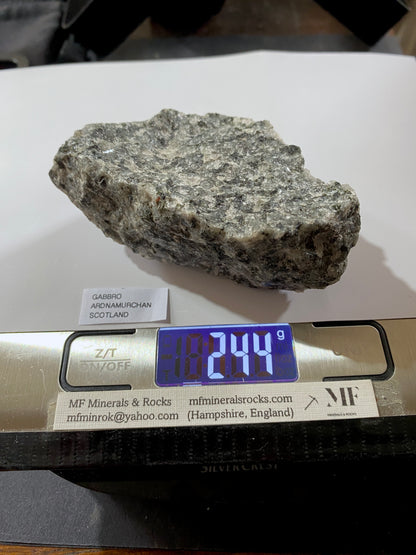 GABBRO : ARDNAMURCHAN, WEST HIGHLAND PENINISULA, SCOTLAND  244g MF4913