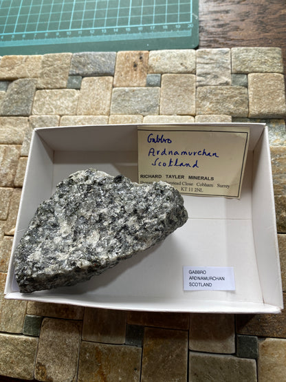 GABBRO : ARDNAMURCHAN, WEST HIGHLAND PENINISULA, SCOTLAND  244g MF4913