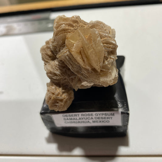 DESERT ROSE GYPSUM - SAMALAYUCA DESERT, CHIHUAHUA, MEXICO. 68g MF4071