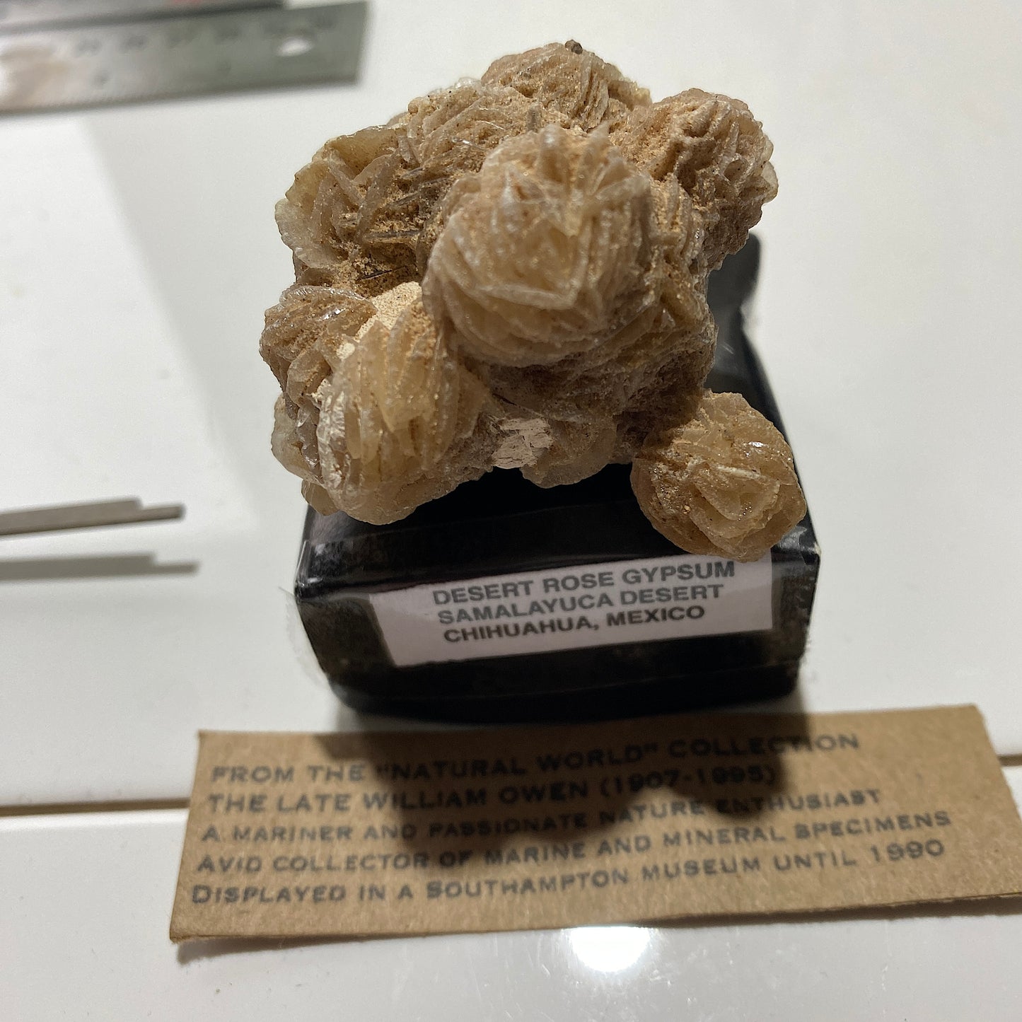 DESERT ROSE GYPSUM - SAMALAYUCA DESERT, CHIHUAHUA, MEXICO. 68g MF4071