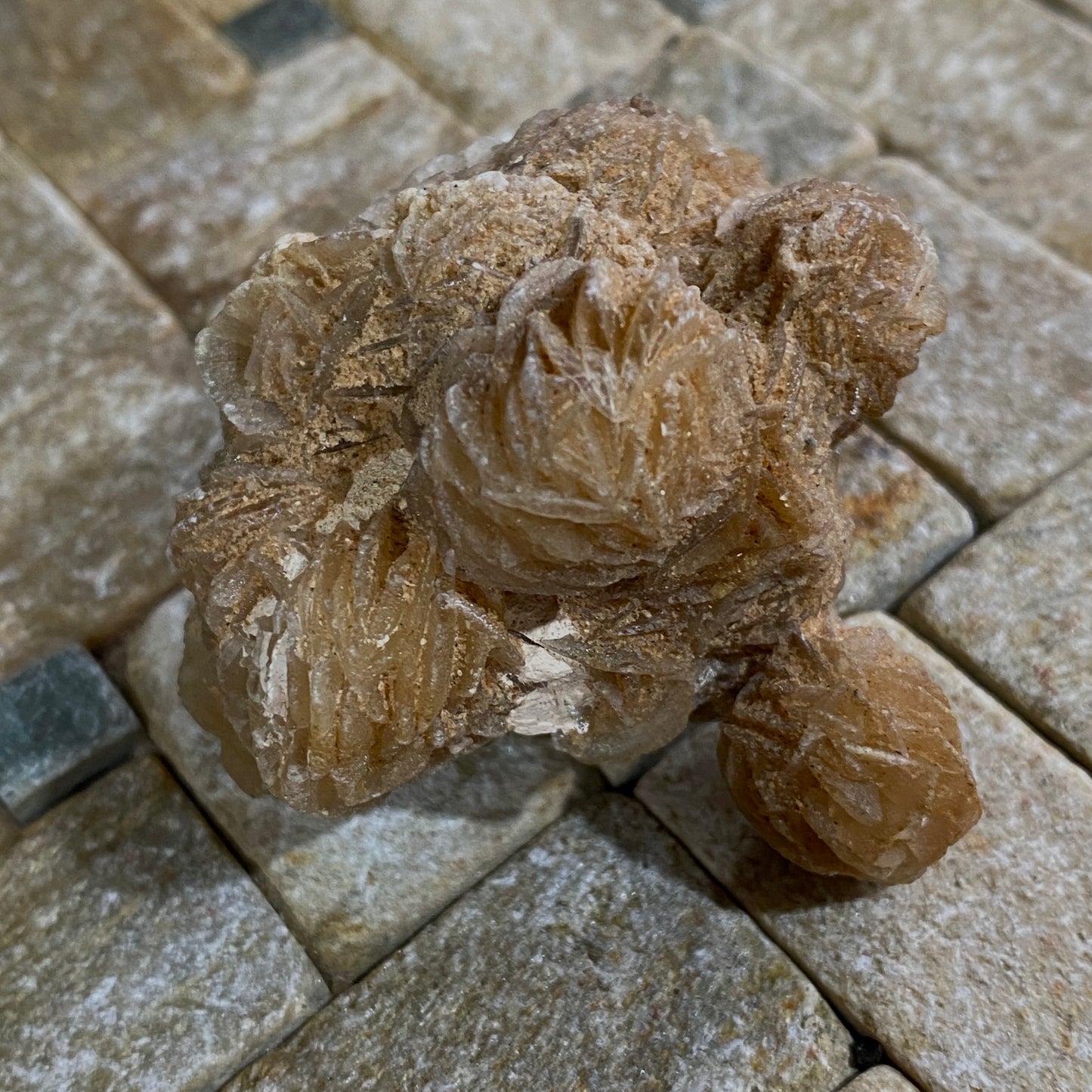 DESERT ROSE GYPSUM - SAMALAYUCA DESERT, CHIHUAHUA, MEXICO. 68g MF4071