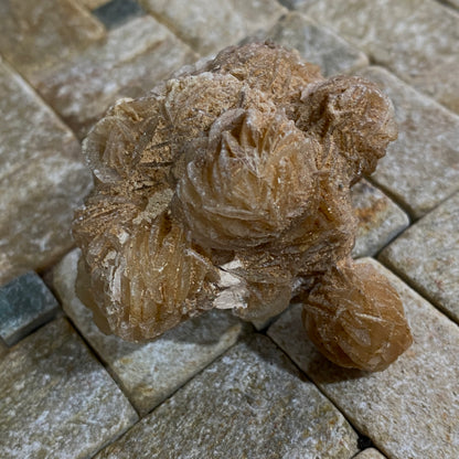 DESERT ROSE GYPSUM - SAMALAYUCA DESERT, CHIHUAHUA, MEXICO. 68g MF4071