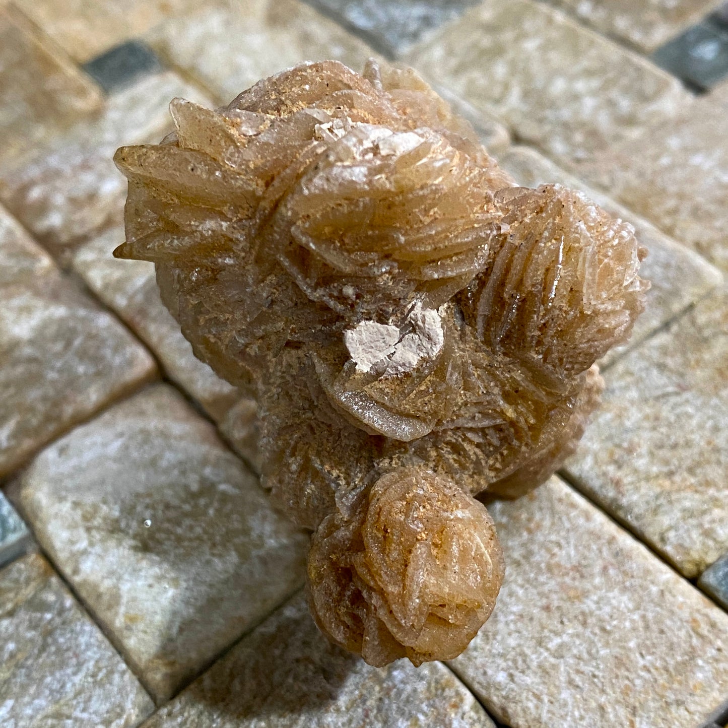 DESERT ROSE GYPSUM - SAMALAYUCA DESERT, CHIHUAHUA, MEXICO. 68g MF4071