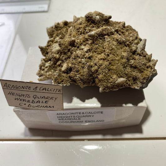 ARAGONITE ET CALCITE DE LA CARRIÈRE DES HAUTEURS, WEARDALE. 123g MF1258