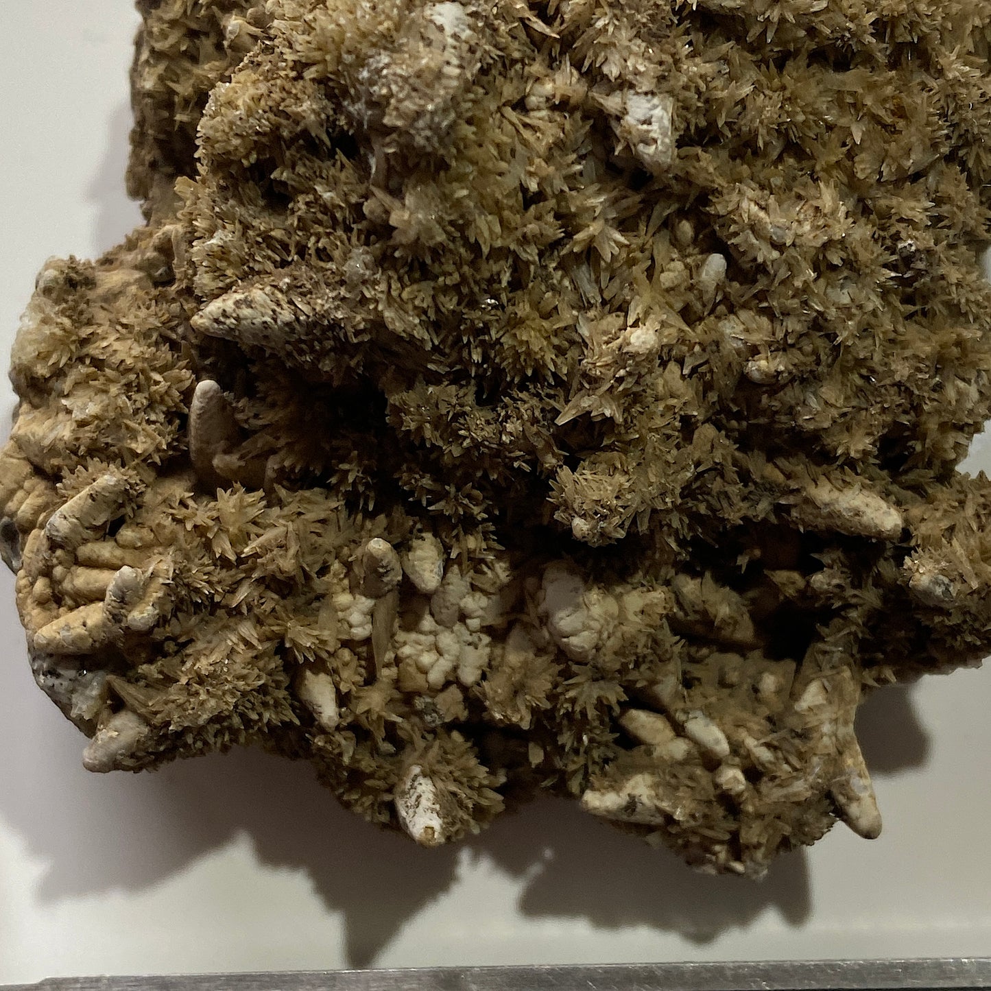 ARAGONITO Y CALCITA DE HEIGHTS QUARRY, WEARDALE. 123g MF1258