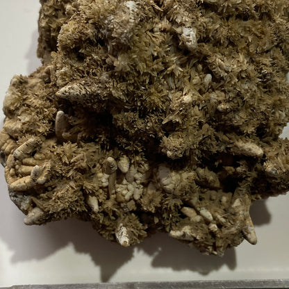 ARAGONITO Y CALCITA DE HEIGHTS QUARRY, WEARDALE. 123g MF1258