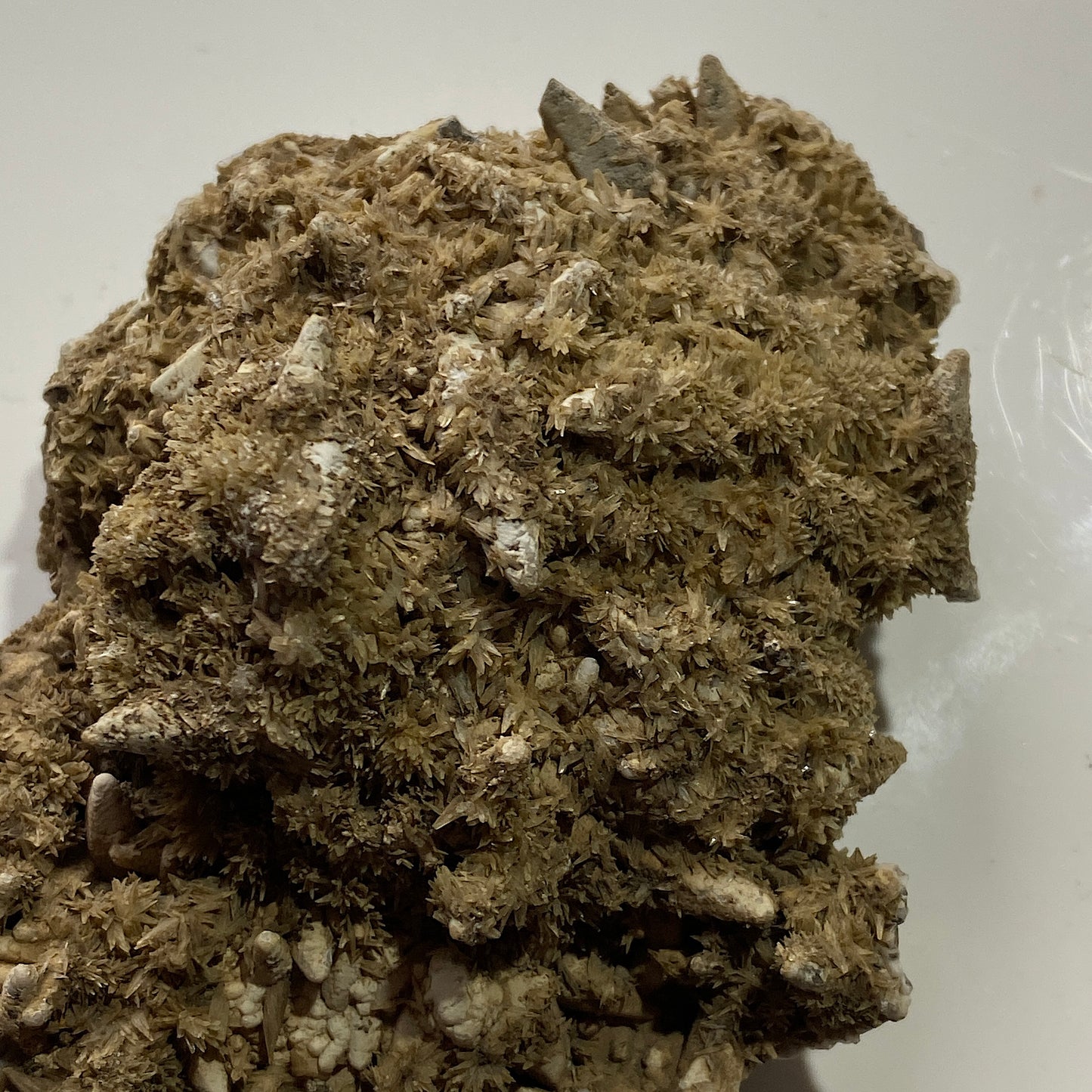 ARAGONITO Y CALCITA DE HEIGHTS QUARRY, WEARDALE. 123g MF1258