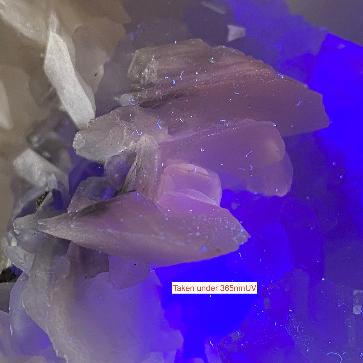 CAMBOKEELS MINE , WEARDALE - FASCINATING LARGE SPECIMEN 745g MF1221