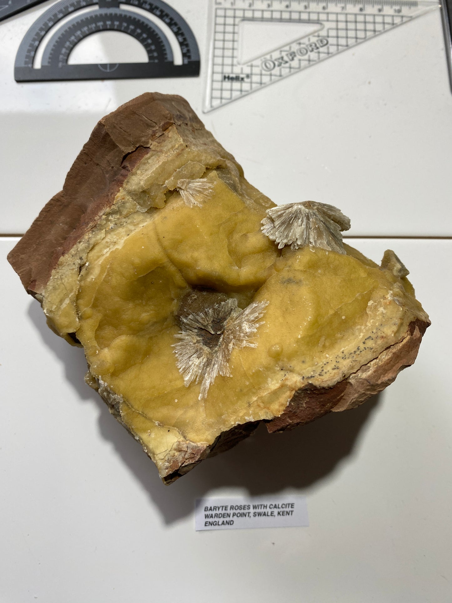 BARYTE "ROSES ON CALCITE : WARDEN POINT, SWALE, KENT, ENGLAND 1440g MF4917