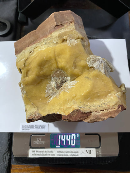 BARYTE "ROSES ON CALCITE : WARDEN POINT, SWALE, KENT, ENGLAND 1440g MF4917