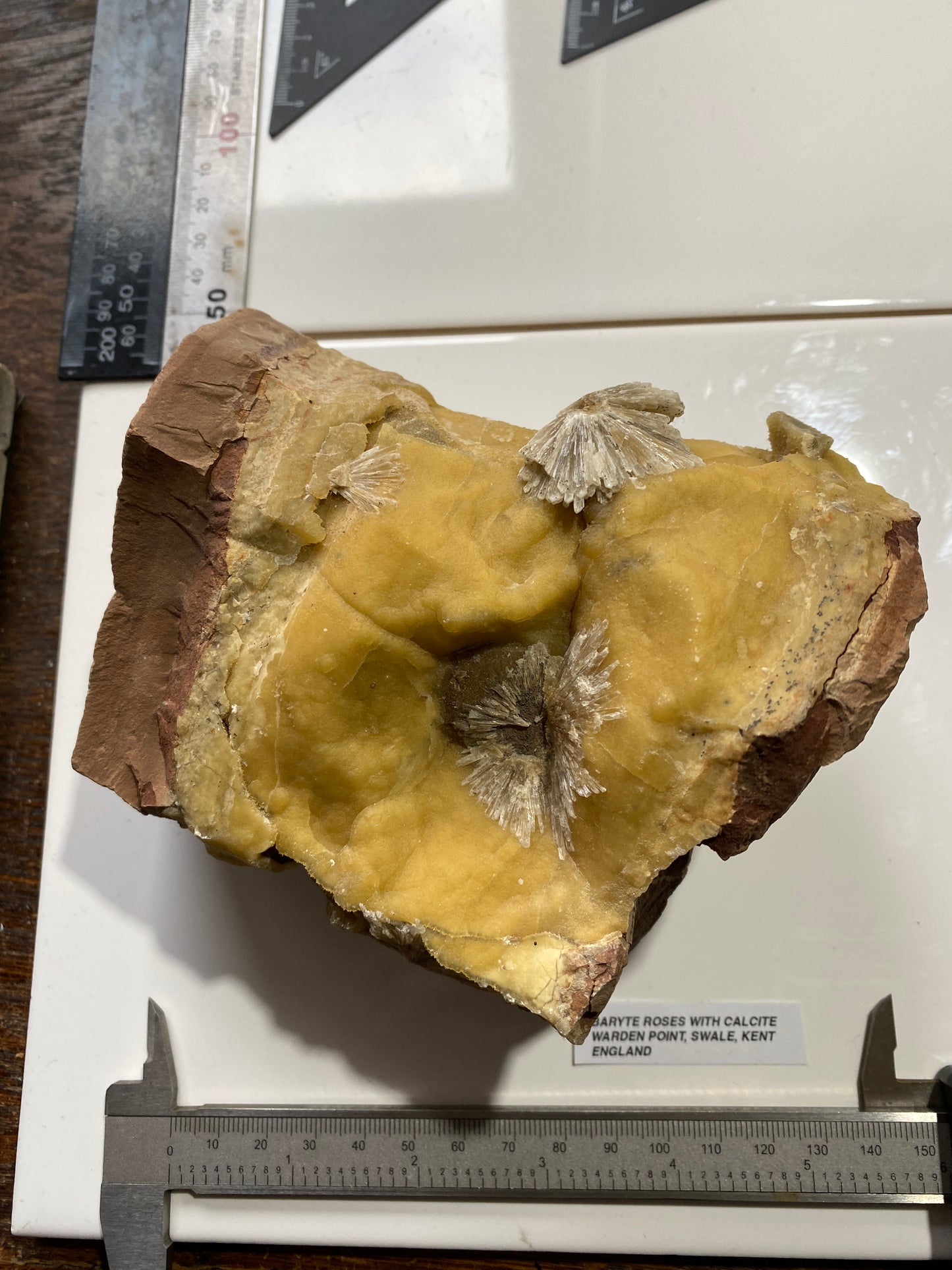 BARYTE "ROSES ON CALCITE : WARDEN POINT, SWALE, KENT, ENGLAND 1440g MF4917