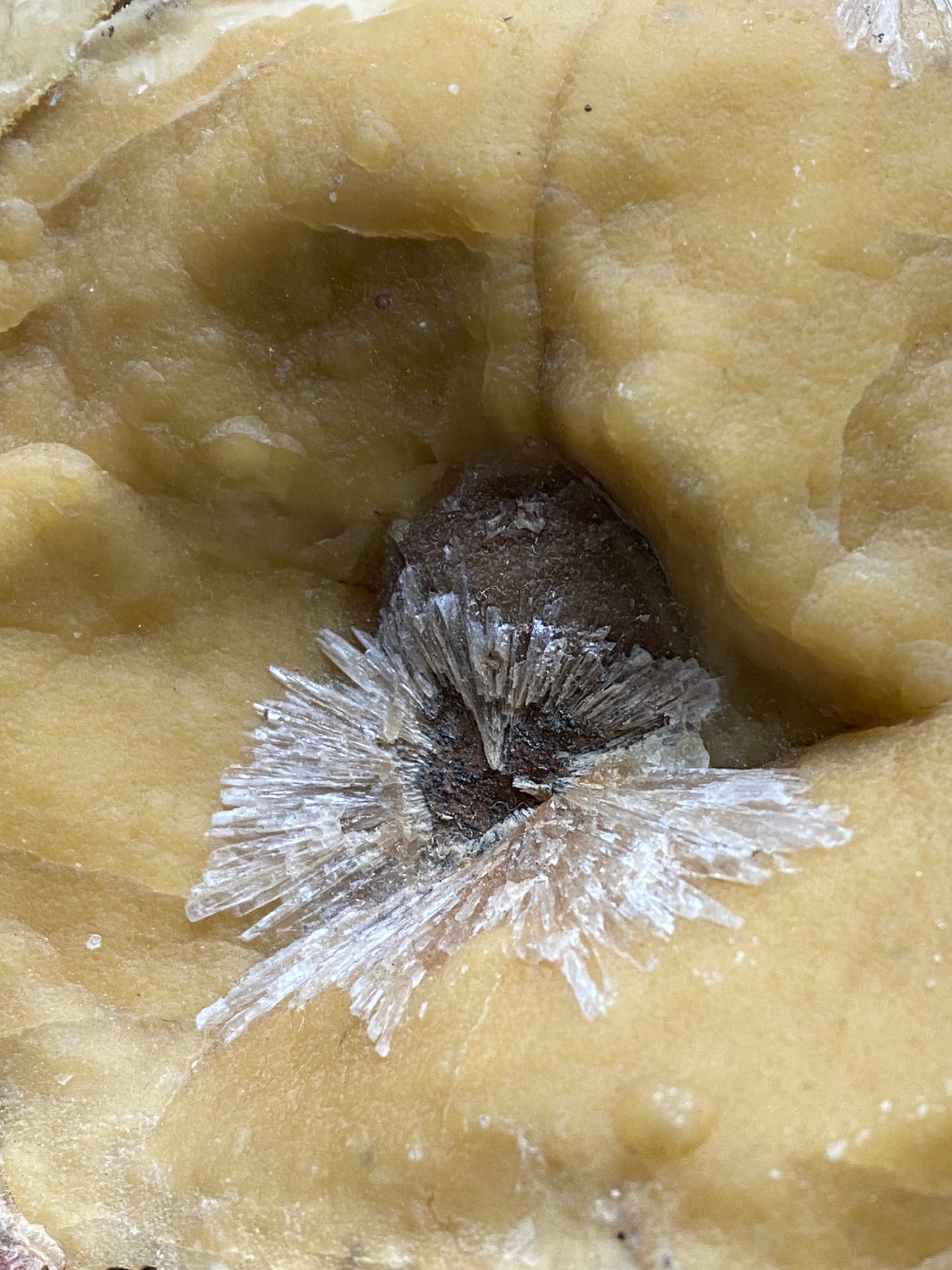 BARYTE "ROSES ON CALCITE : WARDEN POINT, SWALE, KENT, ENGLAND 1440g MF4917