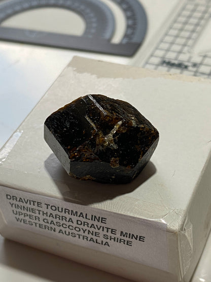 DRAVITE TOURMALINE : YINNIETHARRA DRAVITE MINE, WESTERN AUSTRALIA. 12g MF4918
