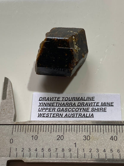 DRAVITE TOURMALINE : YINNIETHARRA DRAVITE MINE, WESTERN AUSTRALIA. 12g MF4918