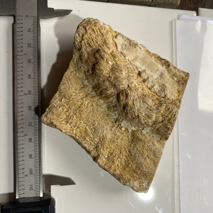 BARYTES UNUSUAL SPECIMEN  - HAZARD MINE, DIRTLOW RAKE, CASTLETON, DERBYSHIRE 452g MF1236