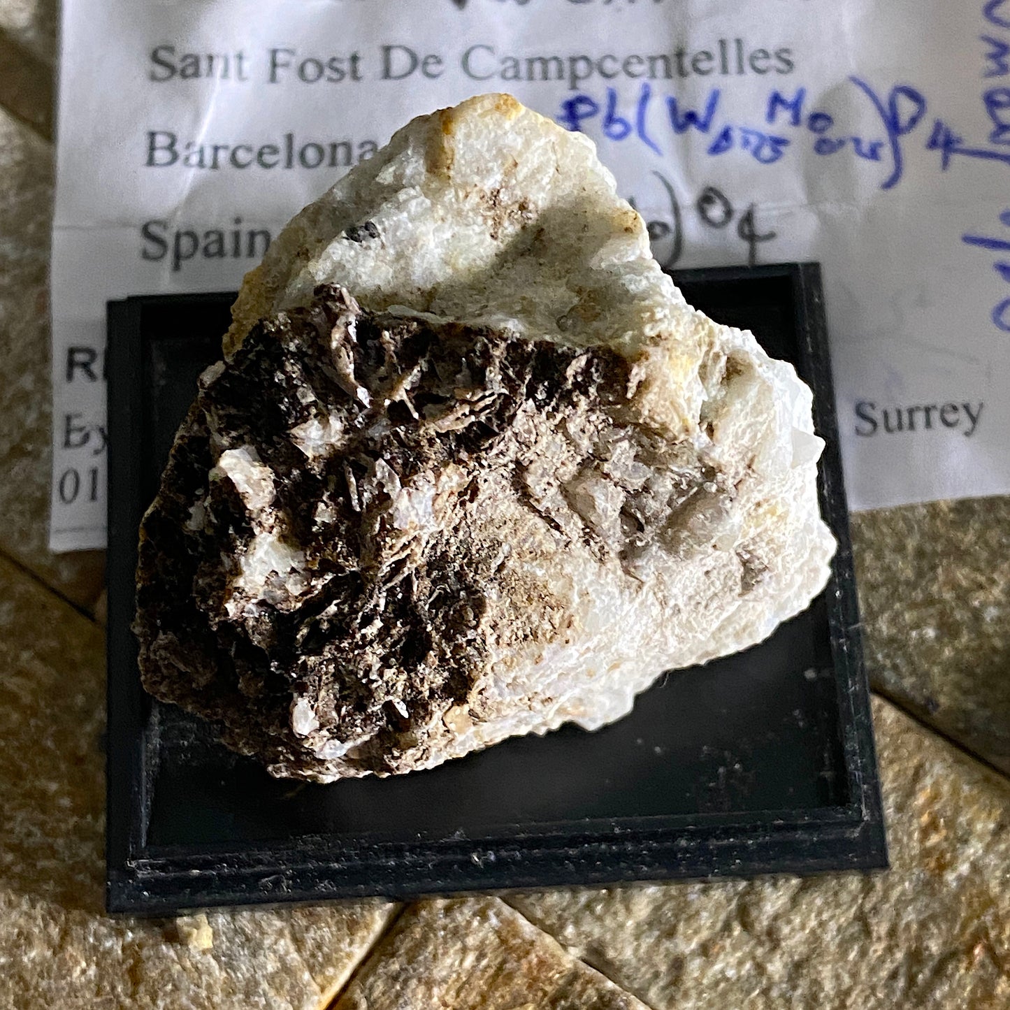 STOLZITE ON MATRIX FROM SPAIN. 29g MF1676