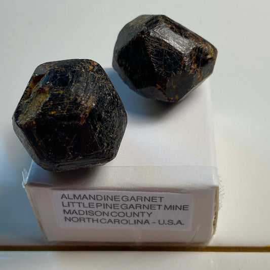 ALMANDINE GARNET x 2 SPECIMENS - LITTLE PINE GARNET MINE,NORTH CAROLINA,  U.S.A.  40g. MF4081