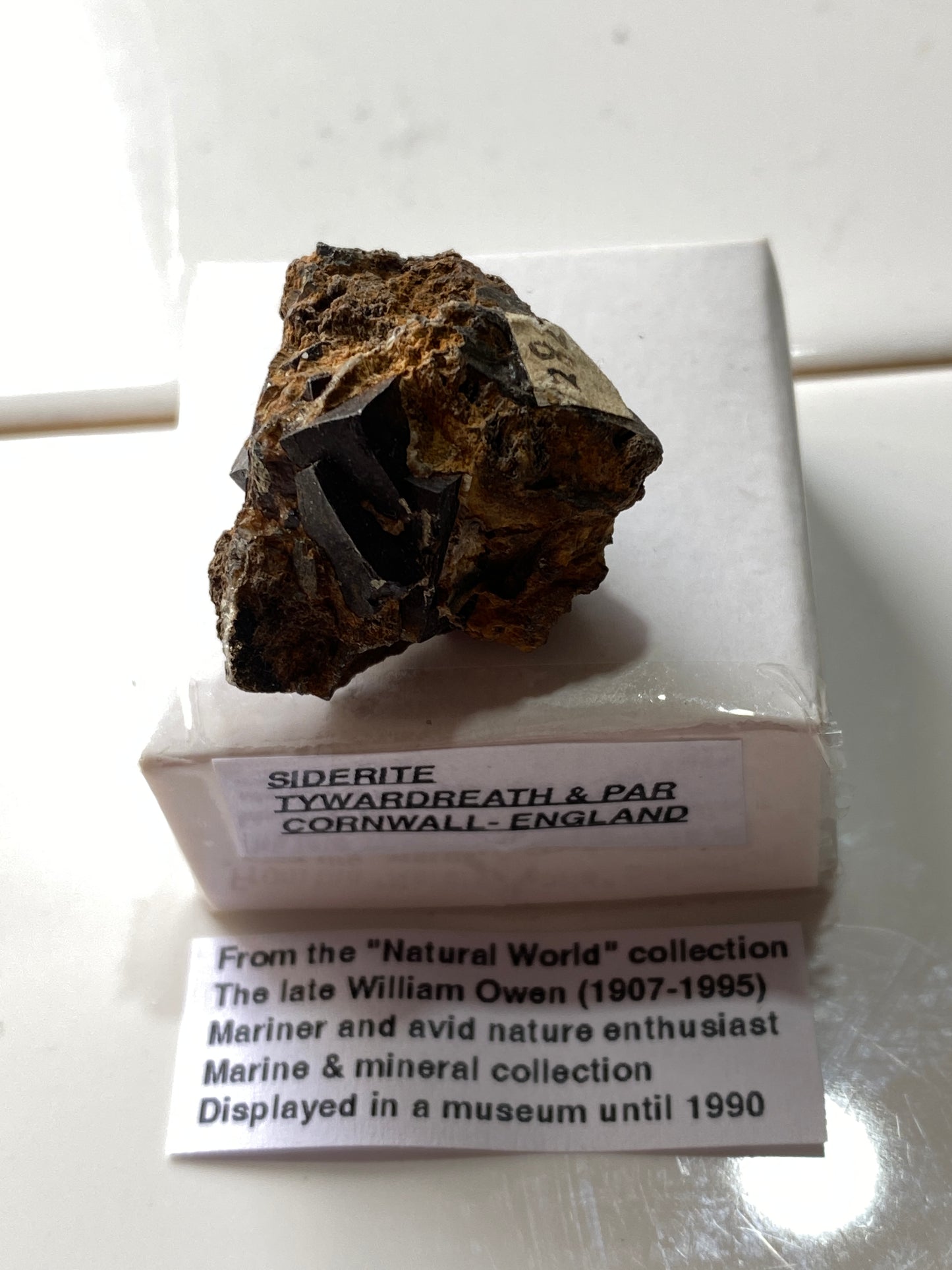 SIDERITE : FOWEY CONSOLS MINE, TYWARDREATH & PAR, CORNWALL. 12g MF4924