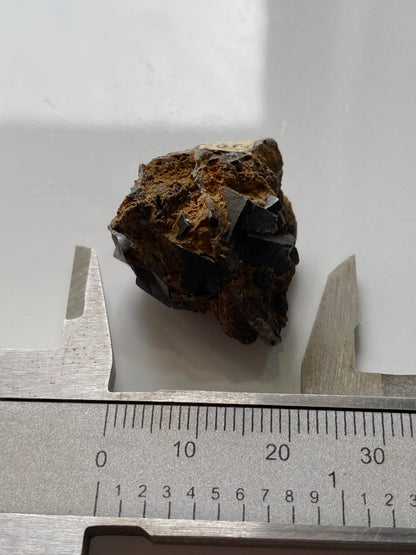 SIDERITE : FOWEY CONSOLS MINE, TYWARDREATH & PAR, CORNWALL. 12g MF4924