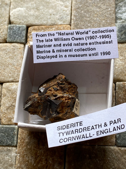 SIDERITE : FOWEY CONSOLS MINE, TYWARDREATH & PAR, CORNWALL. 12g MF4924
