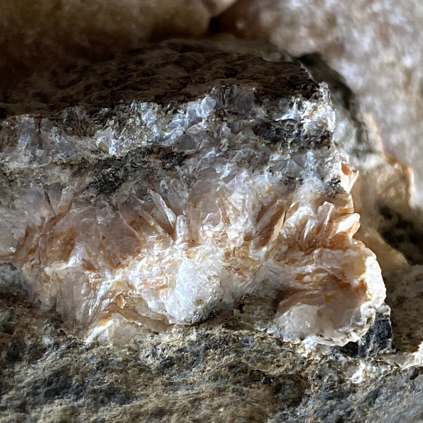 PECTOLITE [ETC] - LEALT QUARRY, ISLE OF SKYE, SCOTLAND  55g. MF4083